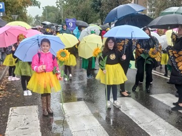 44. Święto Kwiatów, Owoców i Warzyw - w optymistycznym kolorze, 